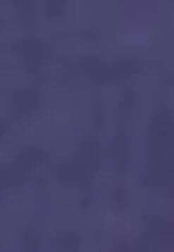 Gerry Weber 1/2 ARM MIT BRUSTTASCHE - T-shirt Basic - Blueberry -Fashion Pol 3a92c4affbfe4b5e9ca484db67190a24